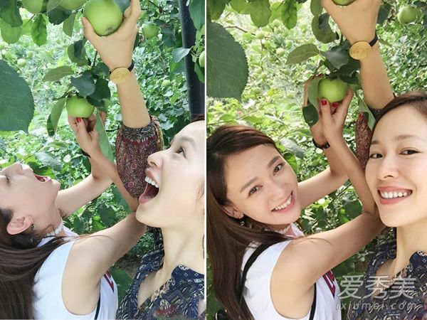 江、成为新的挚友