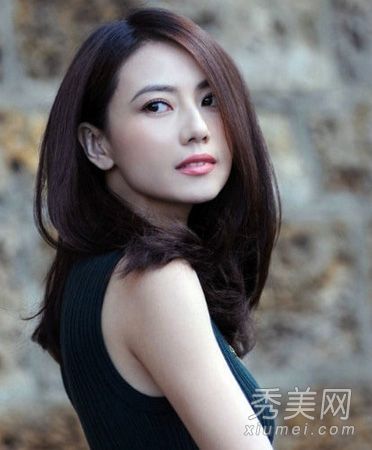 14大明星整形手术模板清单