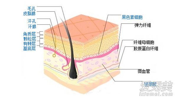 如何去角质并介绍正确的去角质方法