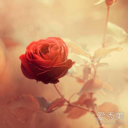 瑞士美白配方:在牛奶中加入50克“它”；60岁的皮肤又白又嫩！