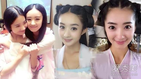 《赵氏李颖》中的双体双生子与十体双生子