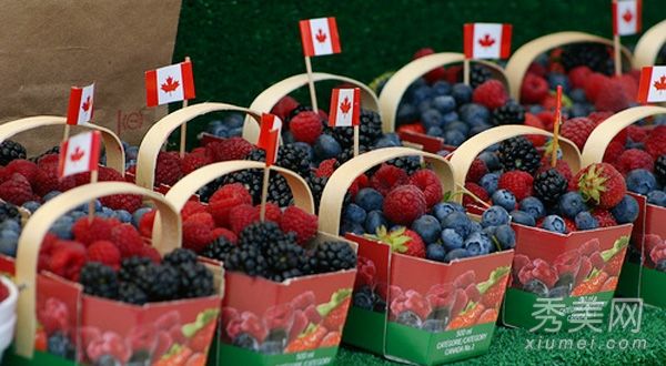 最有效的美白水果草莓美白减肥1号