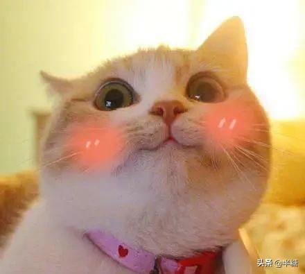 15件淘宝上最火的裙子！便宜好看才80块