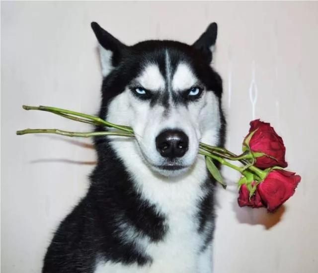 看了那么多搭配却还是不会穿?解锁正确穿衣技巧,你也能迅速变美